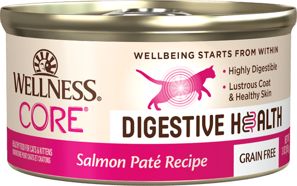 Wellness Core Digestive Health Paté Salmon